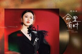 谭维维《命里有时》歌词