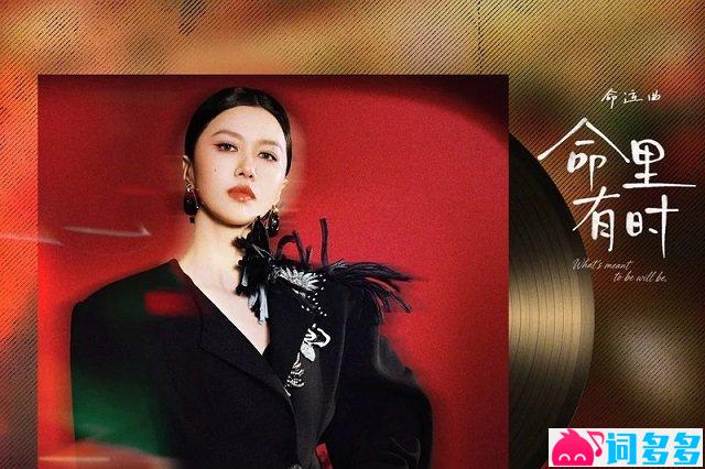 谭维维《命里有时》歌词封面图