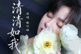 郁可唯《清清如我》歌词