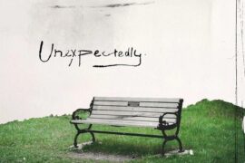 房东的猫《Unexpectedly》歌词封面图