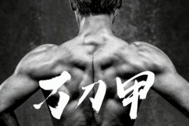 方力申《万刀甲》歌词封面图