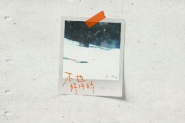 张碧晨《不也好好的》歌词封面图