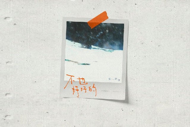 张碧晨《不也好好的》歌词封面图