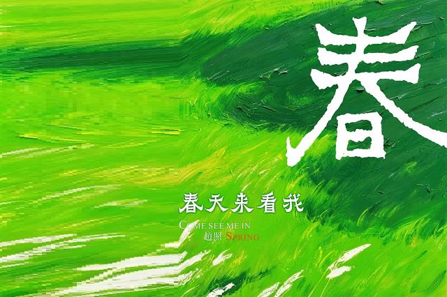 赵照《春天来看我》歌词封面图