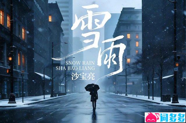 沙宝亮《雪雨》歌词封面图