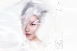 锤娜丽莎《乌鸦的坦白》歌词封面图