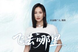 陈粒《飞去哪里》歌词封面图