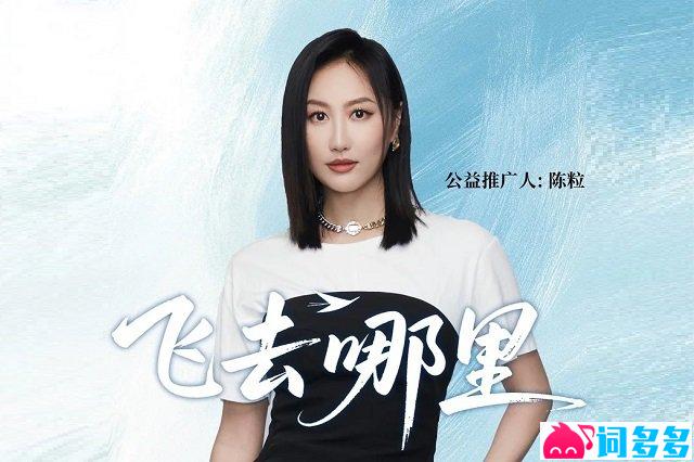 陈粒《飞去哪里》歌词封面图