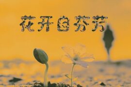 歌之初乐队《花开自芬芳》歌词封面图
