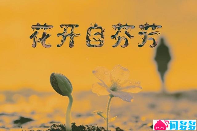 歌之初乐队《花开自芬芳》歌词封面图