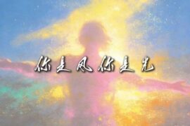 《你是风你是光》歌词封面图