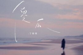 丁筱荷《傻瓜》歌词封面图