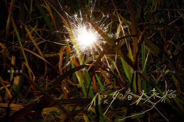 海龟先生《假如春天来临》歌词封面图片