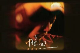 孟鹤堂《晚照》歌词封面图片