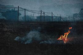 《断舍离》歌词封面图片