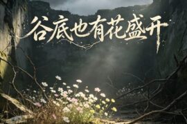 王一佳《谷底也有花盛开》歌词