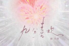 陈天润《九分喜欢》歌词封面图片