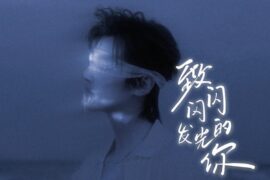 嘉羿《致闪闪发光的你》歌词封面图片