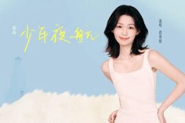 段奥娟《少年夜航》歌词封面图片