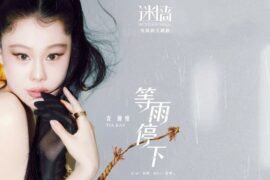 袁娅维《等雨停下》歌词封面图片
