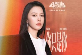 谭维维《你只是你》歌曲歌词封面图片
