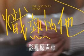章章《再见再见》歌曲歌词封面图
