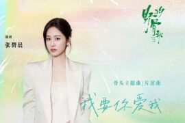张碧晨《我要你爱我》歌曲歌词封面图