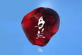 赵照《乌兰》歌曲歌词封面图