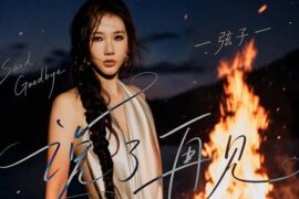 弦子《说了再见》歌曲歌词的封面图片