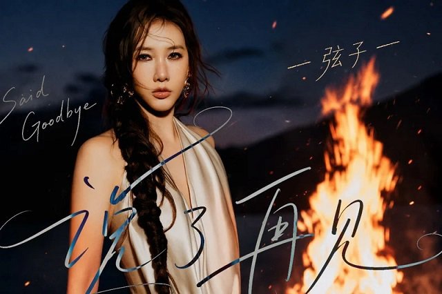 弦子《说了再见》歌曲歌词的封面图片