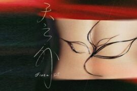 薛凯琪《天之外》歌曲歌词封面图片
