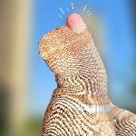 洗袜子不翻面的头像