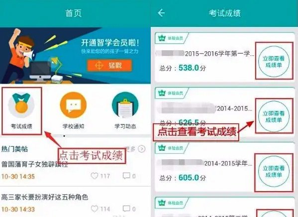 移动端智学网查分攻略示意图
